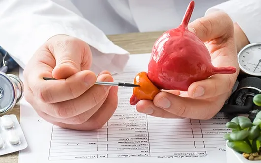 Prostat Hastalıkları